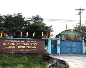 Bao giờ dời trại heo Vissan-Bình Thuận ra xa khu dân cư, cụm công nghiệp?
