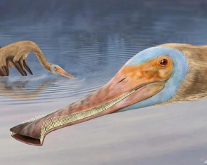 Phát hiện loài thằn lằn bay mới lạ với hơn 400 chiếc răng