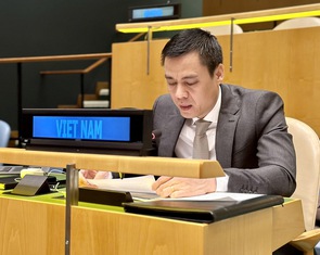 Việt Nam bày tỏ quan ngại, kêu gọi các bên ở Myanmar kiềm chế tối đa