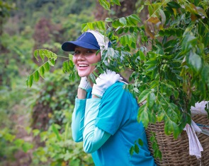 Hoa hậu H’Hen Niê tiếp tục trồng 3ha rừng vào tháng 4
