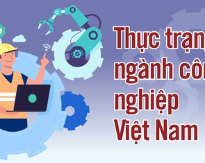 Vai trò khu vực FDI và thực trạng một số ngành công nghiệp Việt