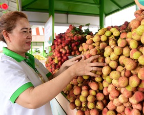 Trăm thức quả tại lễ hội trái cây Suối Tiên, miễn phí cho thiếu nhi ngày 1-6