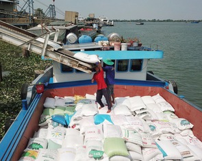 Chớp thời cơ để mở rộng thị trường xuất khẩu gạo