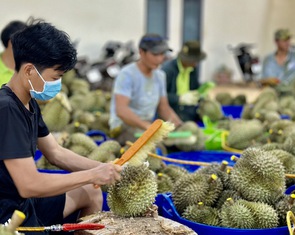 Trung Quốc dự kiến mở cửa thêm cho cả loạt trái cây chủ lực của Việt Nam
