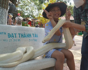 Hàng ngàn du khách tham quan trại rắn lớn nhất miền Tây