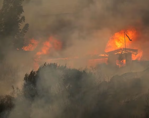 Cháy rừng lớn nhất lịch sử Chile, ít nhất 51 người chết