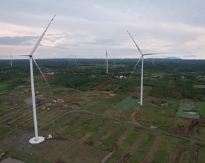 Đắk Nông xin 'gỡ tội' cho các dự án điện gió
