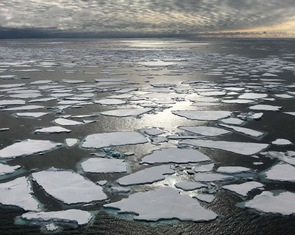 Bắc Cực không băng sắp trở thành sự thật?