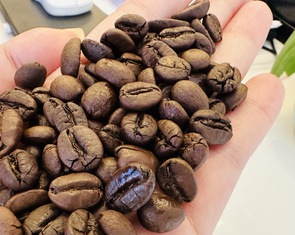 Giá cà phê tăng nóng như giá vàng, khả năng tiến đến mốc 150.000 đồng/kg