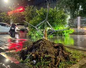 Mưa dông đêm 20-4 ở Hà Nội: Trên cầu cũng ngập, hơn 400 cây xanh gãy đổ, nghiêng