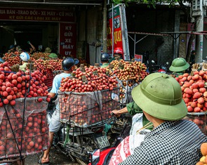 Đan Mạch giúp Việt Nam không mất hàng tỉ USD vì thất thoát, lãng phí nông sản