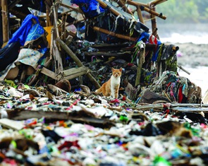 Vì sao rác lậu "tràn bờ" Đông Nam Á?