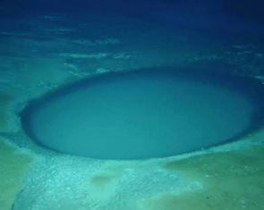 Bất ngờ dưới đáy Biển Đỏ: Những 'hồ chết', sinh vật lại gần là mất mạng