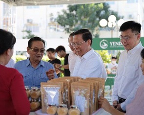 Ông Trương Minh Huy Vũ làm tổ trưởng tổ tham mưu chương trình 'Vì một Cần Giờ xanh’