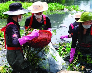 Những ông tây lượm rác ở Đà Nẵng