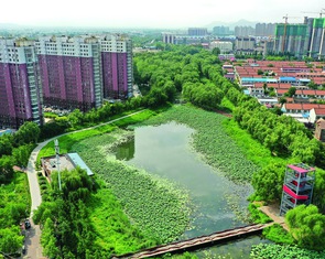 Đêm mưa bão nghe những thành phố thở than