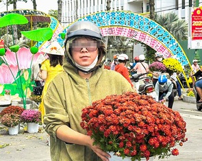 Người dân chất đầy xe hoa đem về trong ngày tháo dỡ Đường hoa xuân Cao Lãnh