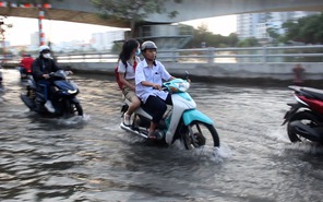 Triều cường dâng cao, học sinh vật vã lội nước về nhà