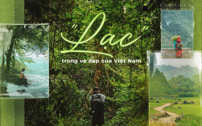 “Lạc” trong vẻ đẹp của Việt Nam