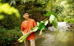 Đường trở lại trường của Hiếu