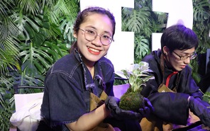 Giới trẻ hào hứng trải nghiệm trồng cây không chậu