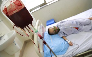 Công tắc khoa học: Hành trình cứu người của những giọt máu