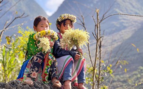 Hà Giang có gì để được đề cử Điểm đến du lịch hàng đầu châu Á?