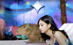 Jennie BLACKPINK là fan cứng của 'bộ trưởng ngoại giao' Capybara