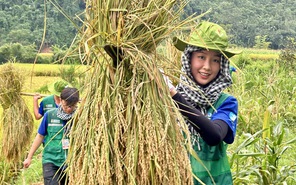 Hoa hậu Bảo Ngọc, Quế Anh tham gia đội tình nguyện khắc phục hậu quả bão số 3