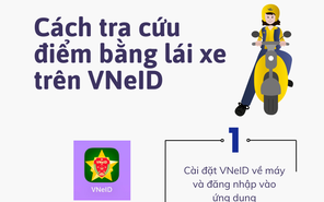 Cách tra cứu điểm bằng lái xe trên VNeID