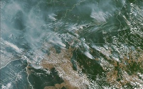 "Lá phổi của Trái Đất" Amazon bị cháy lớn