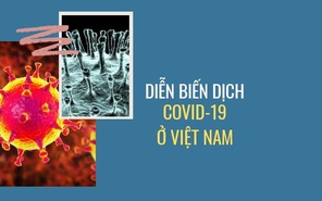 Việt Nam có 976 ca bệnh COVID-19