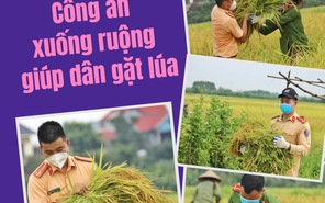 Câu chuyện xúc động đằng sau những bức ảnh các chiến sĩ Công an giúp người dân gặt lúc tại Yên Dũng (Bắc Giang)