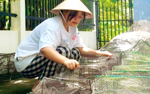 "Ngoại bán vuông tôm cho bây đi học"