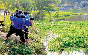 Gieo mầm xanh cho thành phố