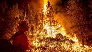 Tại sao California liên tục xảy ra cháy rừng?