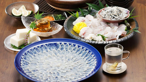 Thịt cá nóc: Món ăn xa xỉ của Nhật Bản
