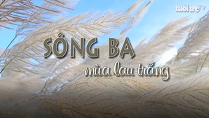 Sông Ba mùa lau trắng