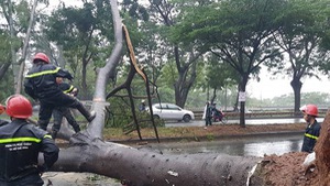 Bão suy yếu, TP.HCM vẫn mưa lớn gây ngập nặng, cây ngã đè người đi đường
