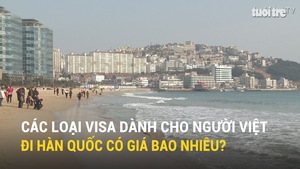 Các loại visa dành cho người Việt đi Hàn Quốc có giá bao nhiêu?