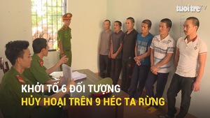 Khởi tố 6 đối tượng hủy hoại trên 9 héc ta rừng