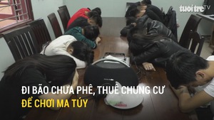 Đi bão chưa phê, thuê chung cư để chơi ma túy