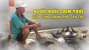 Người nuôi chim trời giữa lòng thành phố Cần Thơ