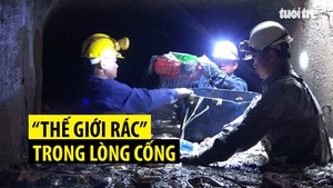 Tin nóng 24G ngày 3-12: “Thế giới rác” trong lòng cống