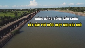 Đồng bằng sông Cửu Long bắt đầu trữ nước ngọt cho mùa khô