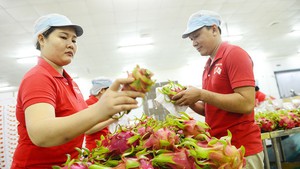 Trở thành thành viên CPTPP: Cơ hội vàng cho Việt Nam