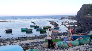 Dự án FLC ở Quảng Ngãi: 'Cả hệ thống chính trị' vào cuộc?