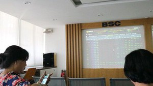 Kỷ lục mới trên sàn chứng khoán