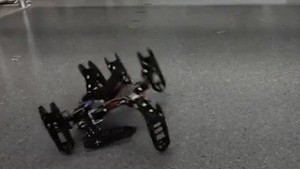Robot bắt chước loài vật tự đi tiếp khi 'bị thương'