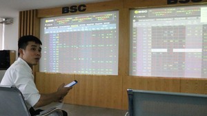 Cổ phiếu chứng khoán dẫn sóng tăng trưởng thị trường